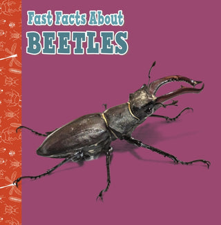 Cover image for 9781398213272 - Fast Facts About Beetles