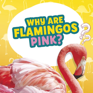 Cover image for 9781398215610 - Why Are Flamingos Pink?