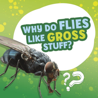 Cover image for 9781398215634 - Why Do Flies Like Gross Stuff?