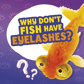 Supplemental image for 9781398215641 - Why Don't Fish Have Eyelashes?