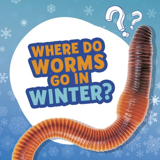 Supplemental image for 9781398215689 - Where Do Worms Go in Winter?