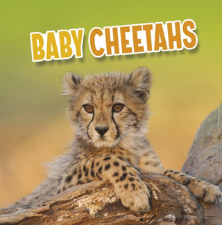 Cover image for 9781398223820 - Baby Cheetahs