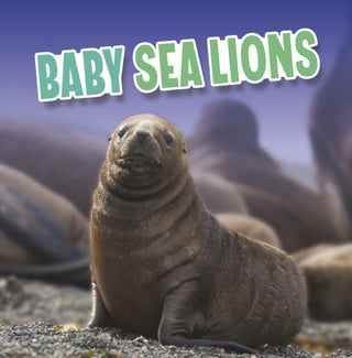 Cover image for 9781398224056 - Baby Sea Lions