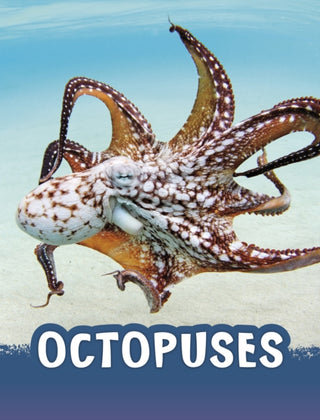 Cover image for 9781398224919 - Octopuses