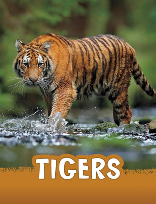 Cover image for 9781398224995 - Tigers
