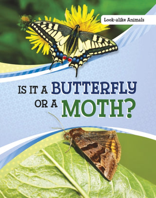 Cover image for 9781398225565 - Is It a Butterfly or a Moth?