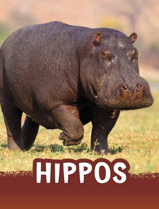 Cover image for 9781398238756 - Hippos