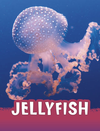 Cover image for 9781398238800 - Jellyfish