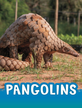 Supplemental image for 9781398238831 - Pangolins