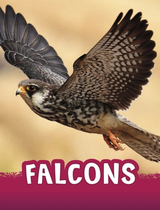 Supplemental image for 9781398243965 - Falcons
