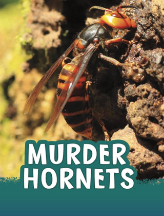 Cover image for 9781398244047 - Murder Hornets