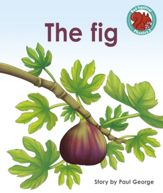 Cover image for 9781398246508 - The Fig