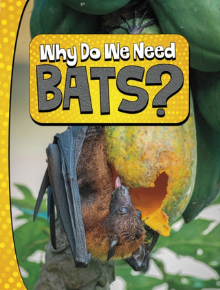 Cover image for 9781398253834 - Why Do We Need Bats?