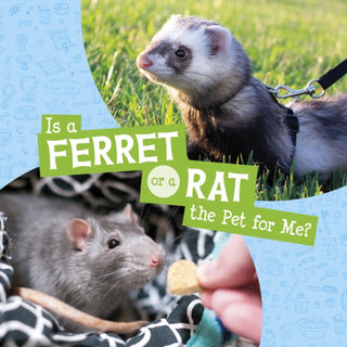 Supplemental image for 9781398258044 - Is a Ferret or a Rat the Pet for Me?