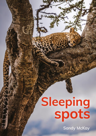 Cover image for 9781398260177 - Sleeping spots