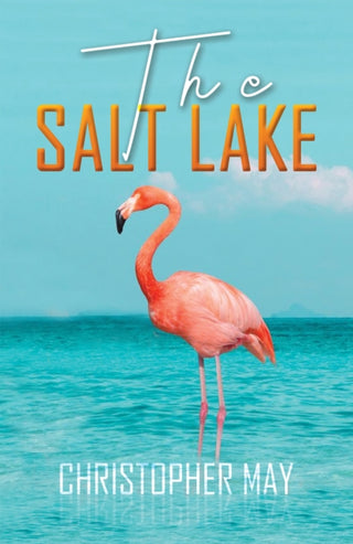 Cover image for 9781398413719 - The Salt Lake