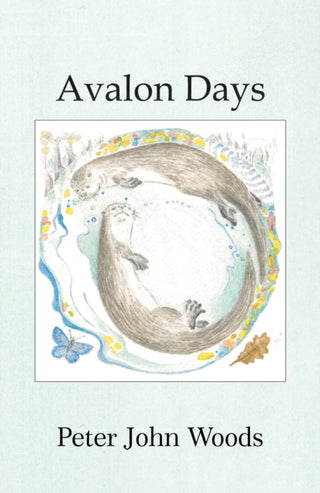 Cover image for 9781398451872 - Avalon Days