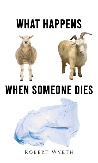 Supplemental image for 9781398466326 - What Happens When Someone Dies