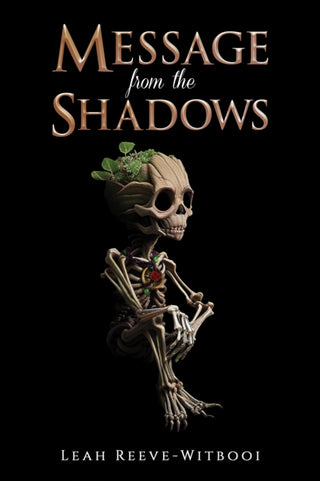Cover image for 9781398482289 - Message from the Shadows