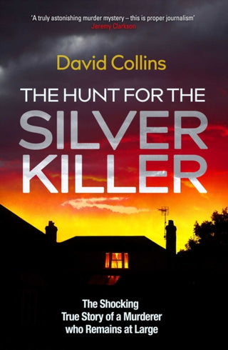 Cover image for 9781398505346 - The Hunt for the Silver Killer