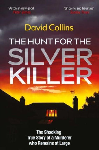 Cover image for 9781398505360 - The Hunt for the Silver Killer