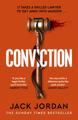 Cover image for 9781398505742 - Conviction