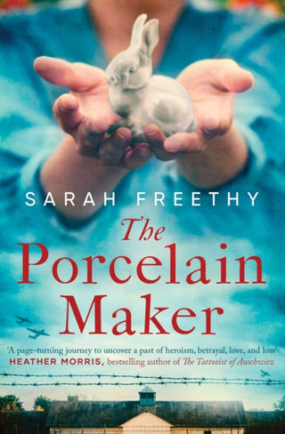 Cover image for 9781398511828 - The Porcelain Maker