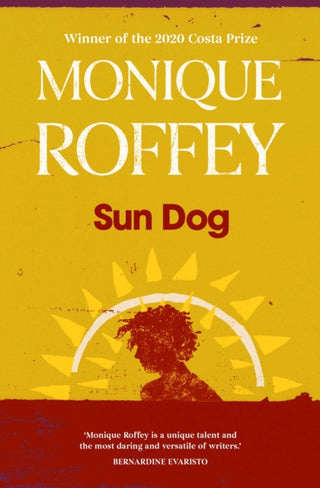 Cover image for 9781398514102 - Sun Dog
