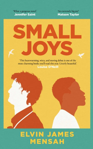 Cover image for 9781398514881 - Small Joys
