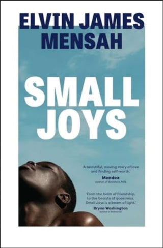 Cover image for 9781398514911 - Small Joys