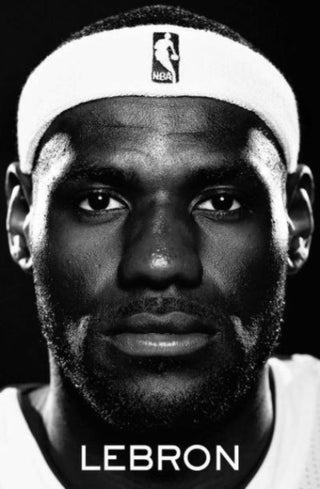 Cover image for 9781398517295 - LeBron