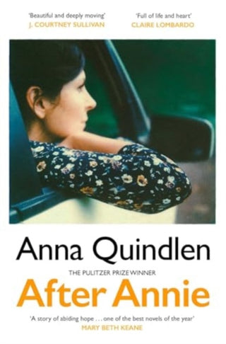 Cover image for 9781398525184 - After Annie