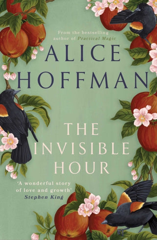 Cover image for 9781398526181 - The Invisible Hour
