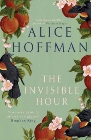 Cover image for 9781398526211 - The Invisible Hour