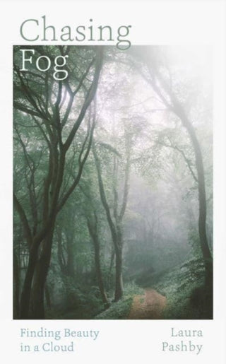 Supplemental image for 9781398526990 - Chasing Fog