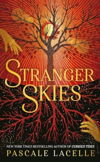 Cover image for 9781398527379 - Stranger Skies