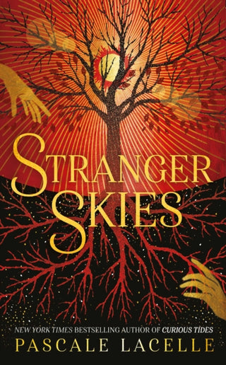 Cover image for 9781398527393 - Stranger Skies