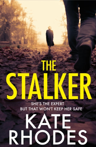Cover image for 9781398529335 - The Stalker
