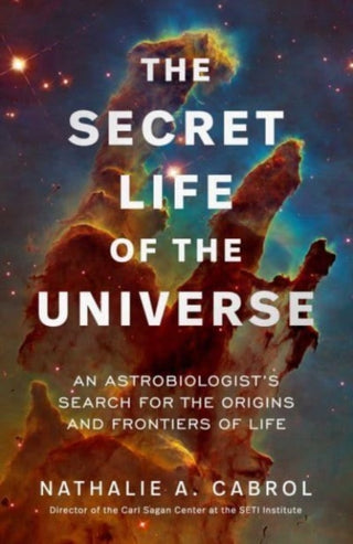 Supplemental image for 9781398531284 - The Secret Life of the Universe