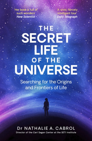 Cover image for 9781398531321 - The Secret Life of the Universe