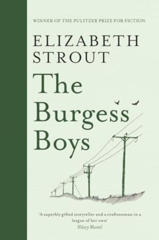 Cover image for 9781398532779 - The Burgess Boys