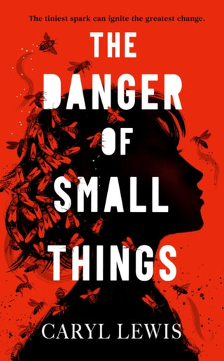 Cover image for 9781398549272 - The Danger of Small Things