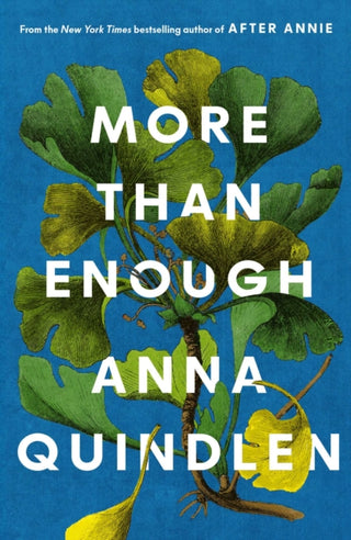 Cover image for 9781398555174 - More Than Enough