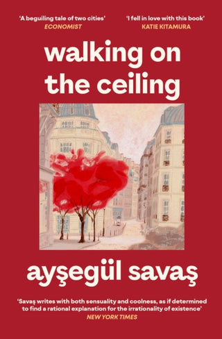 Cover image for 9781398562271 - Walking on the Ceiling