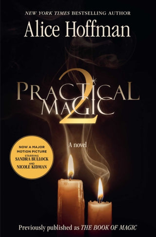 Cover image for 9781398566514 - Practical Magic 2
