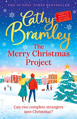 Cover image for 9781398701397 - The Merry Christmas Project