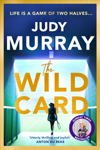 Cover image for 9781398711334 - The Wild Card