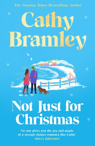 Cover image for 9781398713994 - Not Just for Christmas