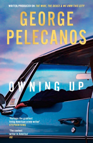 Cover image for 9781398721173 - Owning Up