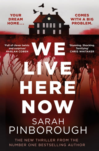 Cover image for 9781398722606 - We Live Here Now